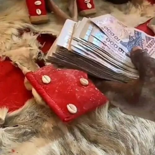 WhatsApp Image 2025-12-18 à 14.35.00_12217a6e